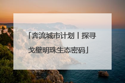奔流城市计划丨探寻戈壁明珠生态密码