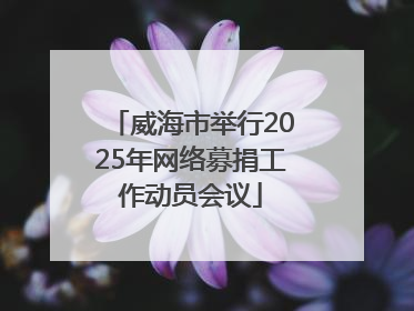 威海市举行2025年网络募捐工作动员会议