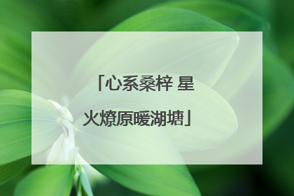 心系桑梓 星火燎原暖湖塘