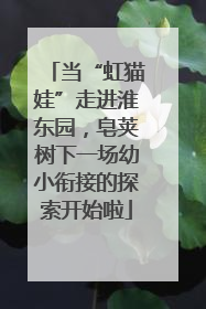 当“虹猫娃”走进淮东园，皂荚树下一场幼小衔接的探索开始啦
