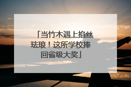 当竹木遇上掐丝珐琅！这所学校捧回省级大奖