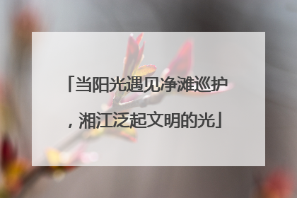 当阳光遇见净滩巡护，湘江泛起文明的光