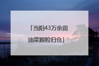 当阳43万余亩油菜颗粒归仓