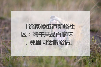 徐家楼街道新峪社区：端午共品百家味，邻里同话新峪情