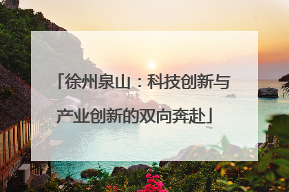 徐州泉山：科技创新与产业创新的双向奔赴