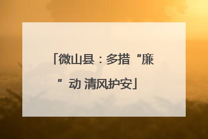 微山县：多措“廉”动 清风护安