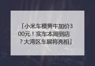 小米车模黄牛加价300元！实车本周到店？大湾区车展将亮相