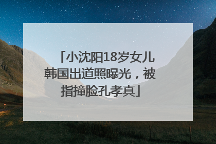 小沈阳18岁女儿韩国出道照曝光，被指撞脸孔孝真