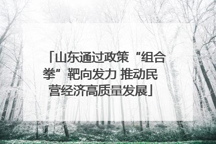 山东通过政策“组合拳”靶向发力 推动民营经济高质量发展