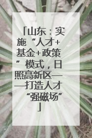 山东：实施“人才+基金+政策”模式，日照高新区——打造人才“强磁场”