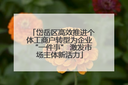 岱岳区高效推进个体工商户转型为企业“一件事” 激发市场主体新活力