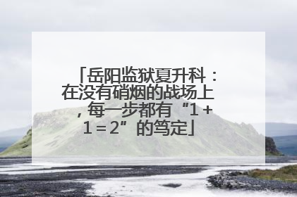 岳阳监狱夏升科：在没有硝烟的战场上，每一步都有“1＋1＝2”的笃定