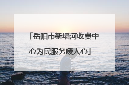 岳阳市新墙河收费中心为民服务暖人心