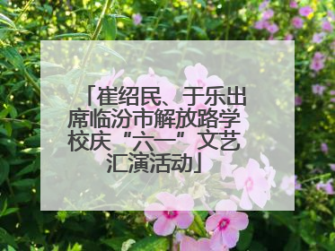崔绍民、于乐出席临汾市解放路学校庆“六一”文艺汇演活动