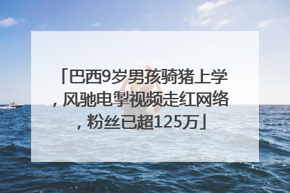 巴西9岁男孩骑猪上学，风驰电掣视频走红网络，粉丝已超125万