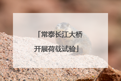 常泰长江大桥开展荷载试验