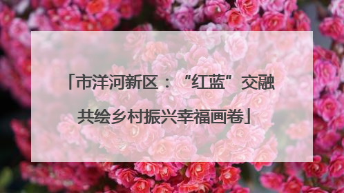 市洋河新区：“红蓝”交融 共绘乡村振兴幸福画卷