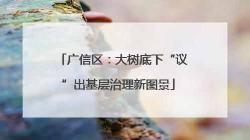 广信区：大树底下“议”出基层治理新图景