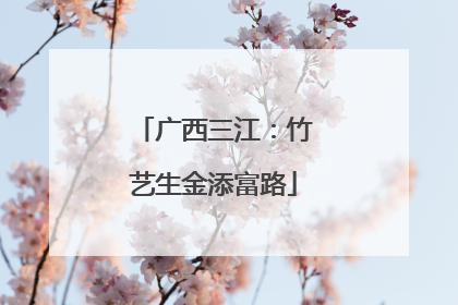 广西三江：竹艺生金添富路