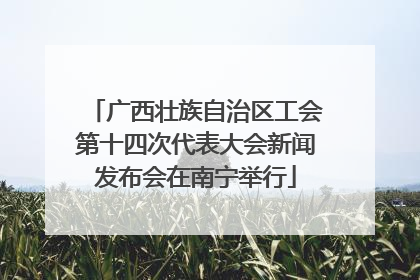广西壮族自治区工会第十四次代表大会新闻发布会在南宁举行