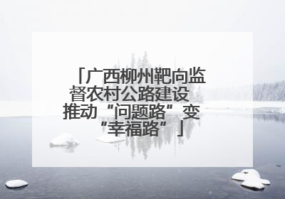 广西柳州靶向监督农村公路建设 推动“问题路”变“幸福路”