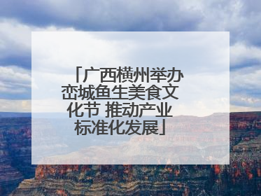 广西横州举办峦城鱼生美食文化节 推动产业标准化发展