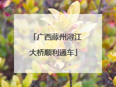 广西藤州浔江大桥顺利通车