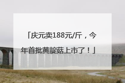庆元卖188元/斤，今年首批黄靛菇上市了！