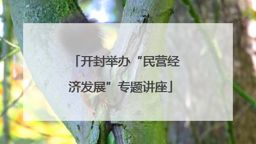 开封举办“民营经济发展”专题讲座