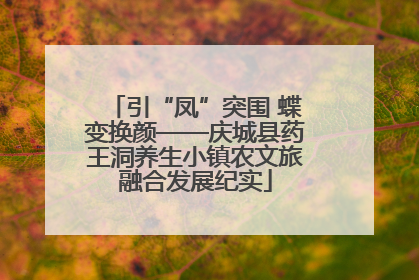 引“凤”突围 蝶变换颜——庆城县药王洞养生小镇农文旅融合发展纪实