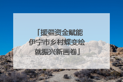 援疆资金赋能 伊宁市乡村蝶变绘就振兴新画卷