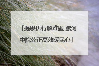 提级执行解难题 漯河中院公正高效暖民心