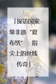 探访国家级非遗“夏布绣”：指尖上的丝线传奇
