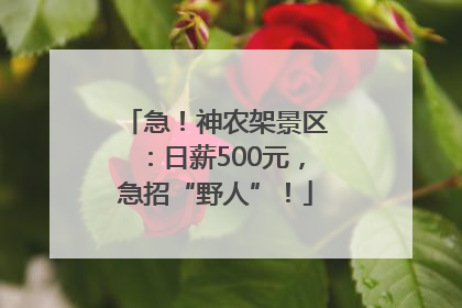 急！神农架景区：日薪500元，急招“野人”！