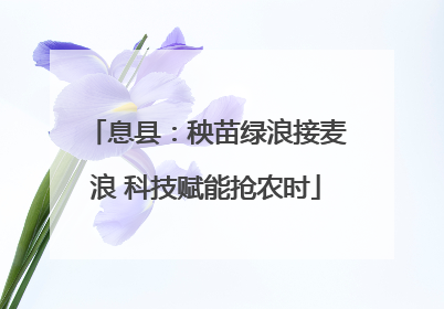息县：秧苗绿浪接麦浪 科技赋能抢农时