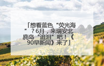 想看蓝色“荧光海”？6月，来瑞安北麂岛“追泪”吧！《90早新闻》来了