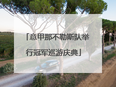 意甲那不勒斯队举行冠军巡游庆典