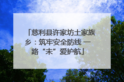 慈利县许家坊土家族乡：筑牢安全防线 一路“未”爱护航