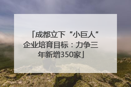 成都立下“小巨人”企业培育目标：力争三年新增350家