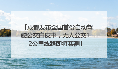 成都发布全国首份自动驾驶公交白皮书，无人公交12公里线路即将实测