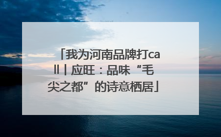我为河南品牌打call丨应旺：品味“毛尖之都”的诗意栖居