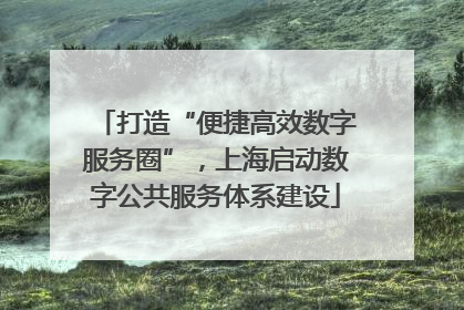 打造“便捷高效数字服务圈”，上海启动数字公共服务体系建设