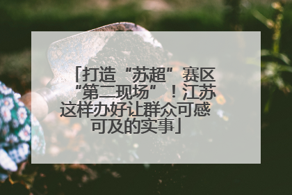 打造“苏超”赛区“第二现场”！江苏这样办好让群众可感可及的实事