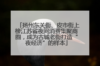 扬州东关街、皮市街上榜江苏省夜间消费集聚商圈，成为古城老街打造“夜经济”的样本
