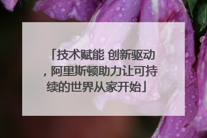 技术赋能 创新驱动，阿里斯顿助力让可持续的世界从家开始