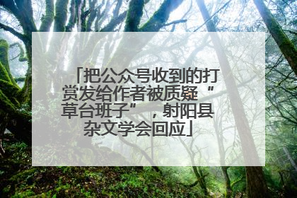 把公众号收到的打赏发给作者被质疑“草台班子”，射阳县杂文学会回应