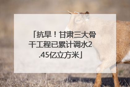 抗旱！甘肃三大骨干工程已累计调水2.45亿立方米