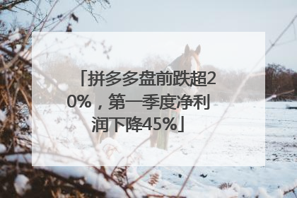 拼多多盘前跌超20%，第一季度净利润下降45%