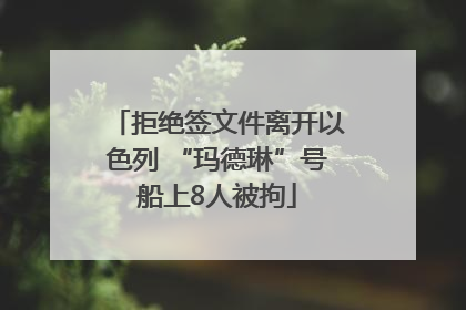 拒绝签文件离开以色列 “玛德琳”号船上8人被拘