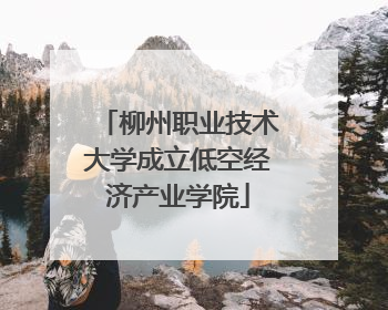 柳州职业技术大学成立低空经济产业学院